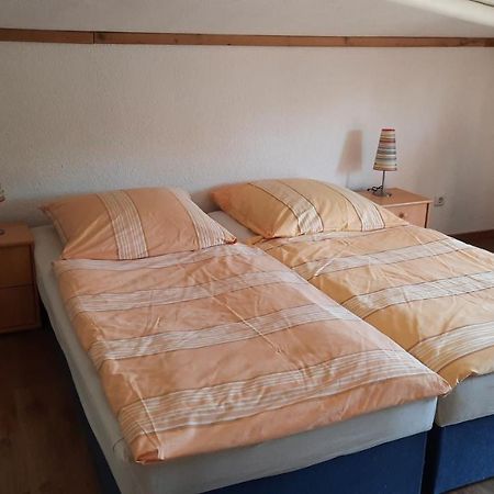 Schoenermarker Pferdeparadies Niederlandin Eksteriør billede