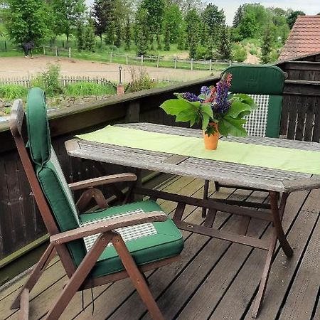 Schoenermarker Pferdeparadies Niederlandin Eksteriør billede